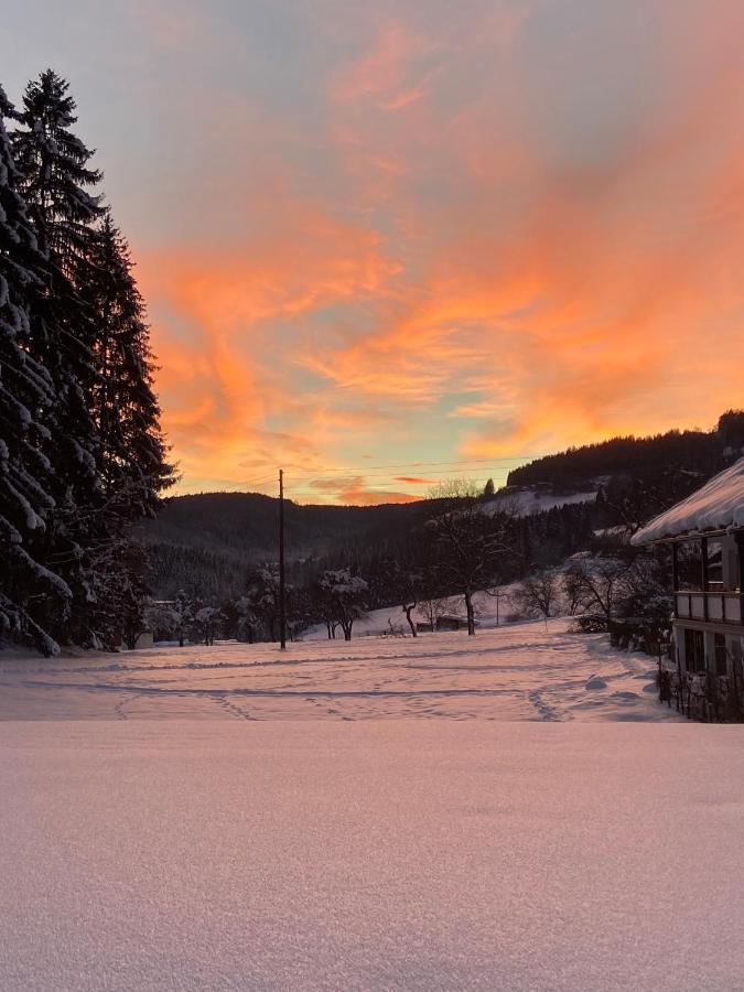 Apartmán Nikolaierhaus Feldkirchen in Kärnten Exteriér fotografie