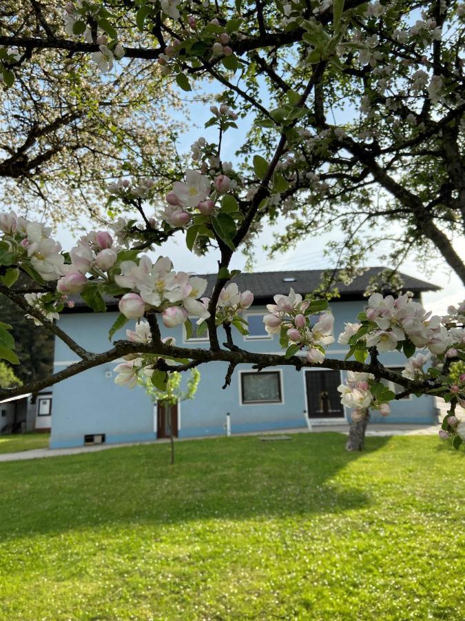 Apartmán Nikolaierhaus Feldkirchen in Kärnten Exteriér fotografie