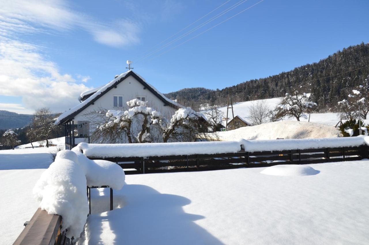 Apartmán Nikolaierhaus Feldkirchen in Kärnten Exteriér fotografie