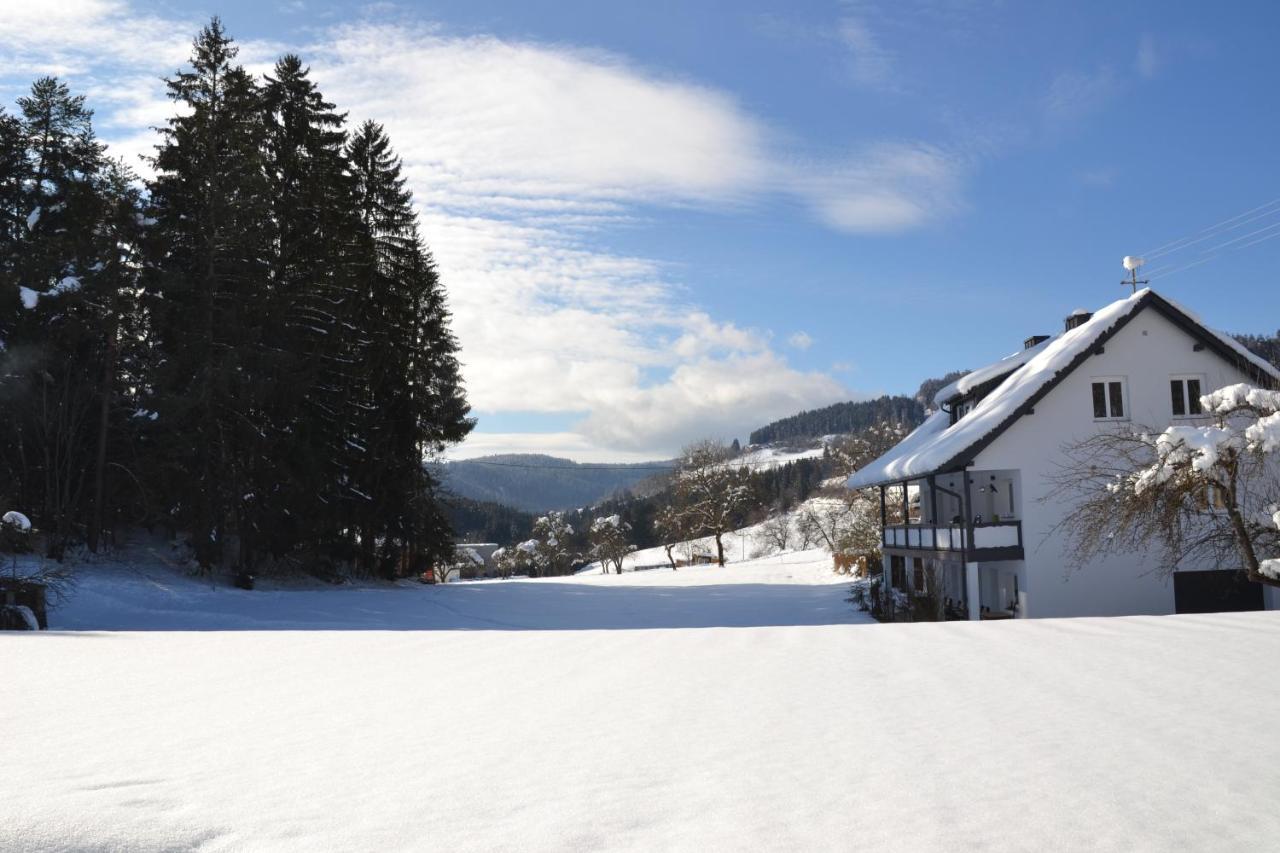Apartmán Nikolaierhaus Feldkirchen in Kärnten Exteriér fotografie